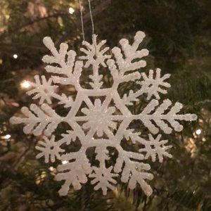 Meet your Posher, Jasmin